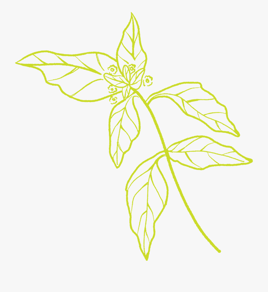 Illustration, Transparent Clipart