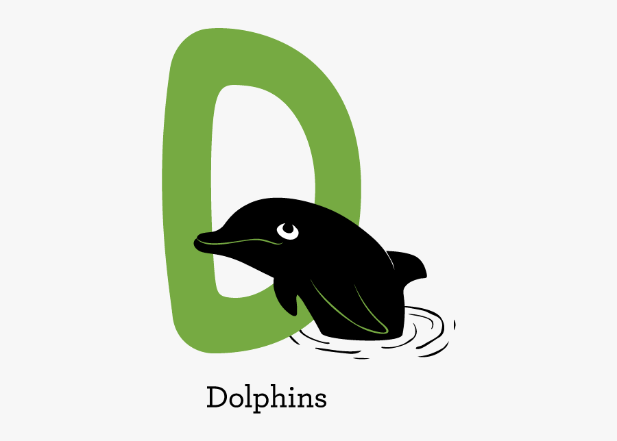 Dolphins Level - Cartoon Sketchesdolphin In A Swimming Pool, Transparent Clipart