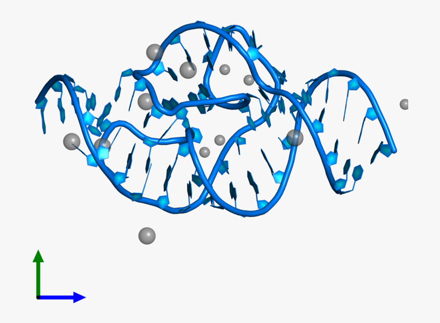 Graphic Design, Transparent Clipart