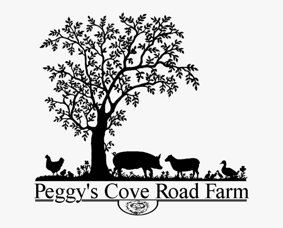 Drawing For Front Page, Transparent Clipart