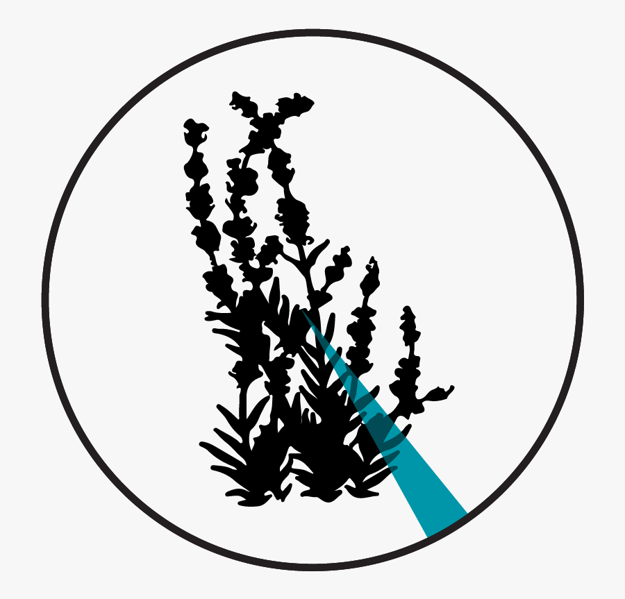 Pie Chart - Silhouette, Transparent Clipart