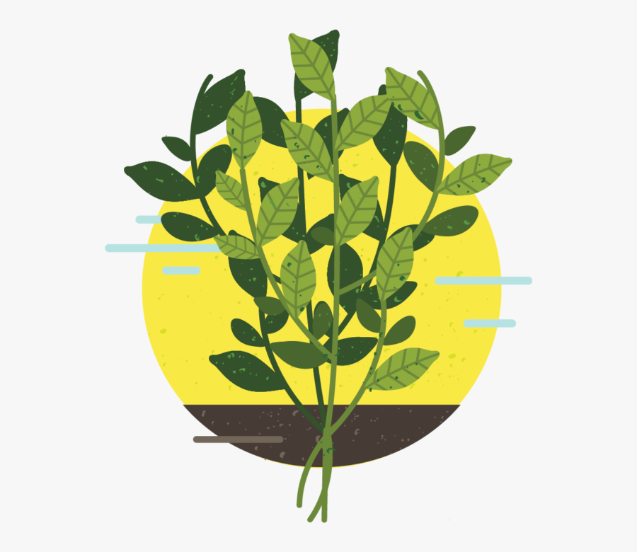 Illustration, Transparent Clipart