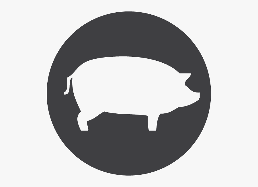 Vector Outline Pig - Way Forward Icon White, Transparent Clipart