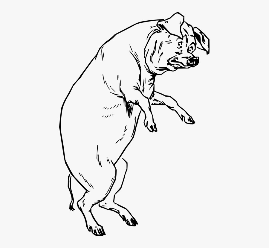 Art,monochrome Photography,carnivoran - Pigs On Hind Legs, Transparent Clipart