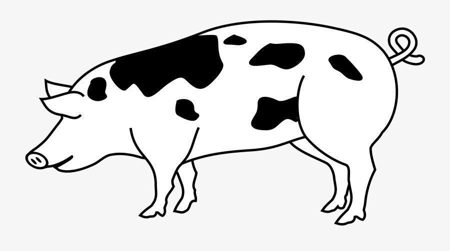 Collection Of Pig Outline, Transparent Clipart