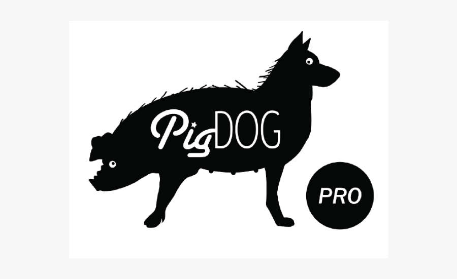 Boar, Transparent Clipart