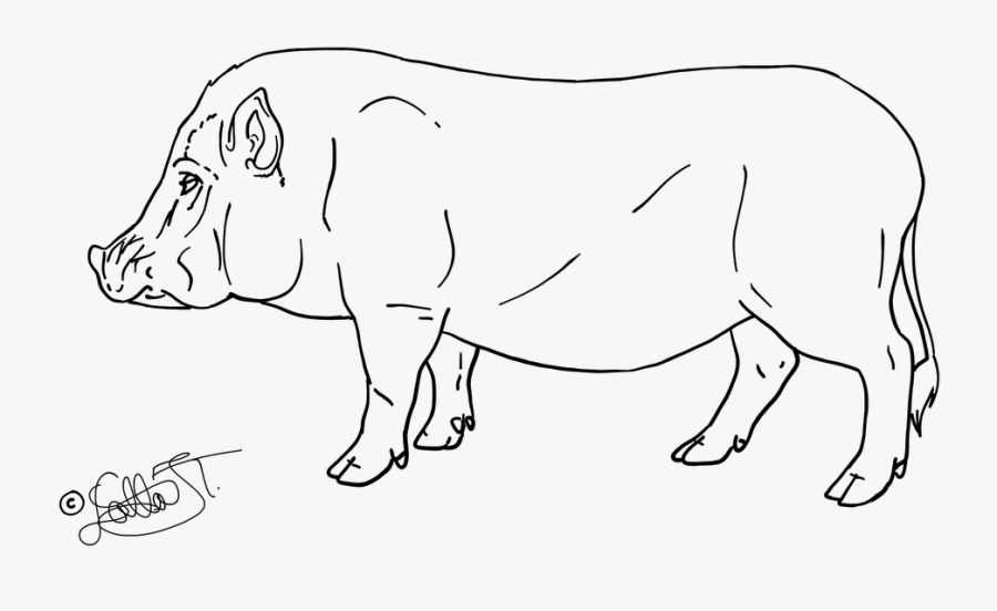 Pig Lineart Free - Line Art, Transparent Clipart