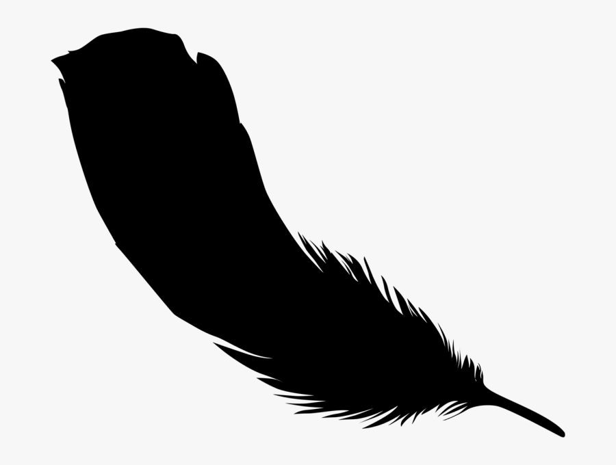 Clip Art Beak Feather Silhouette Black M - Illustration, Transparent Clipart