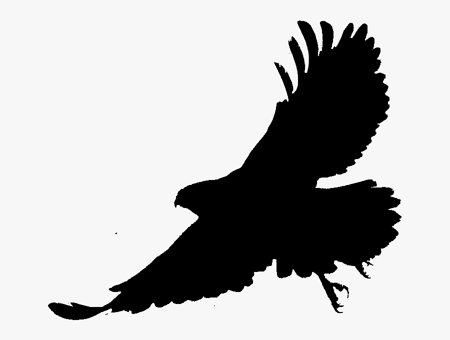 Bald Eagle Silhouette Fauna Beak - Hawk, Transparent Clipart