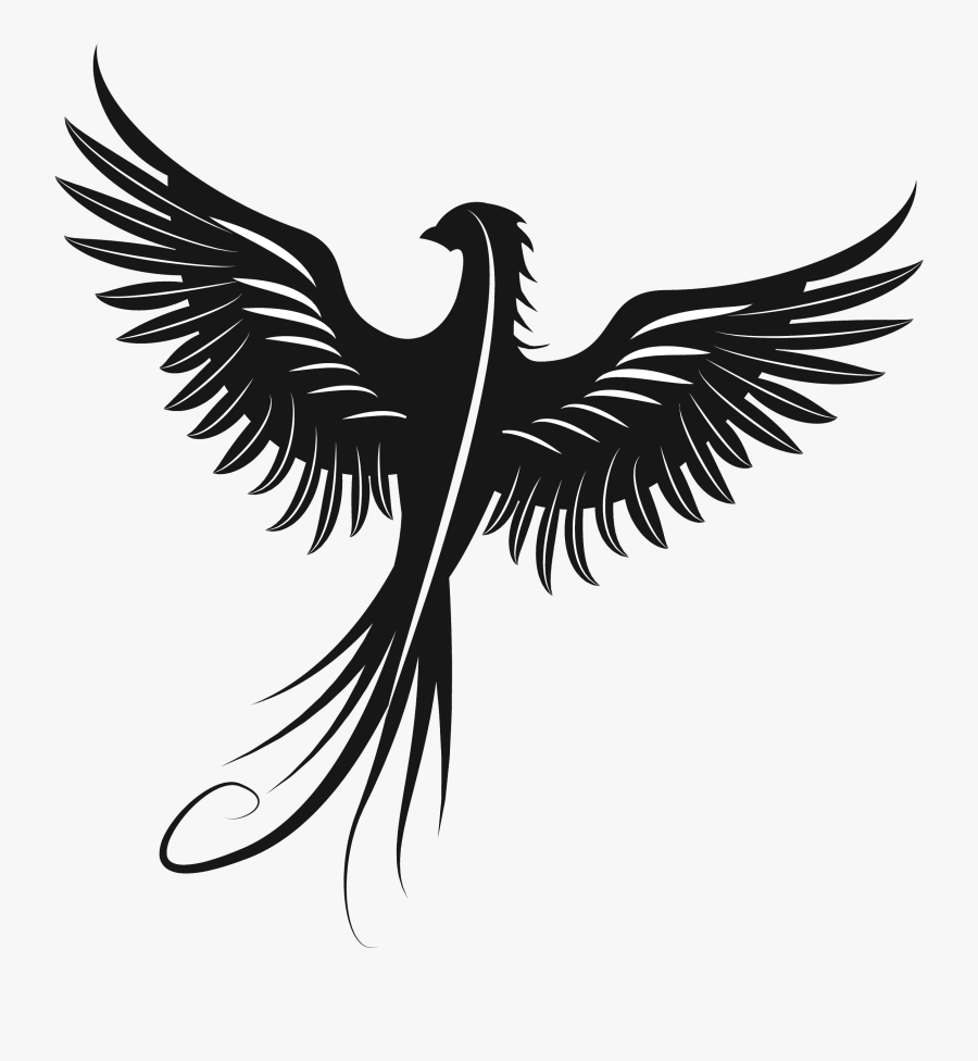 Eagle Silhouette Beak Feather Font - Phoenix Clipart, Transparent Clipart