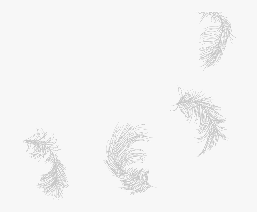 Sketch, Transparent Clipart