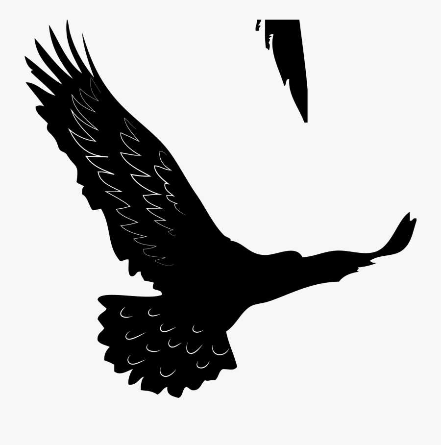 Il Capoluogo, Transparent Clipart