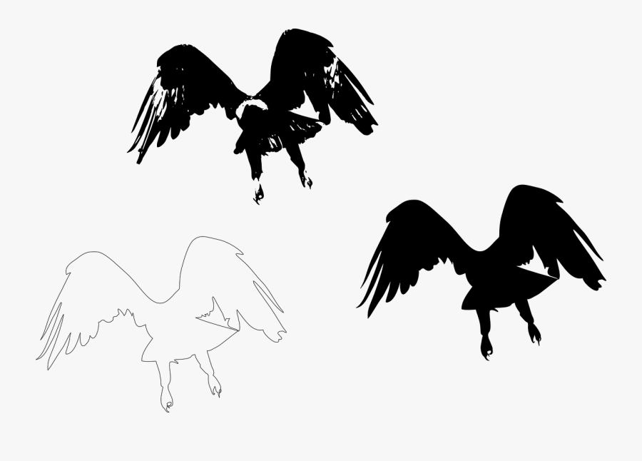 Silhouette Bird Wing Feather - Eagle Cut Out Black And White, Transparent Clipart