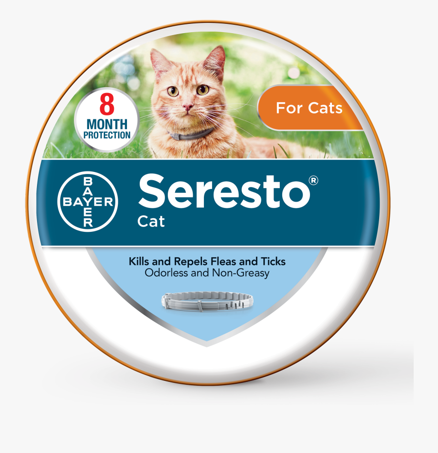 Transparent Grumpy Cat Png - Seresto Small Dog Collar, Transparent Clipart