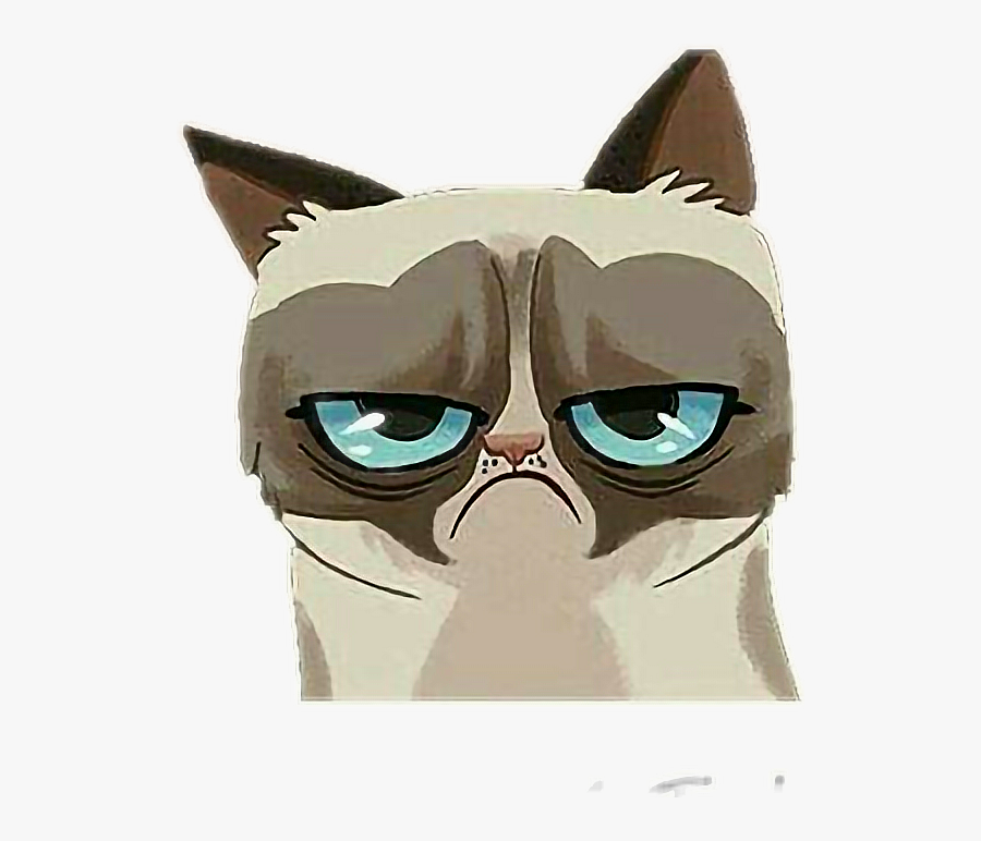Transparent Angry Cat Png - Cartoon Grumpy Cat Png, Transparent Clipart