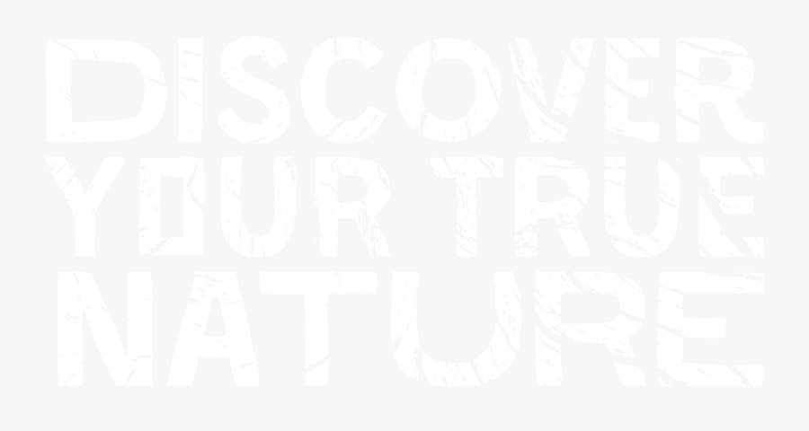 Poster, Transparent Clipart