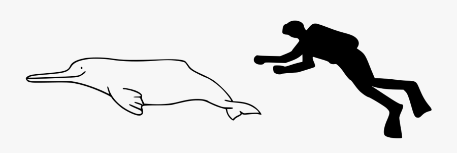 South Asian River Dolphin Outline, Transparent Clipart