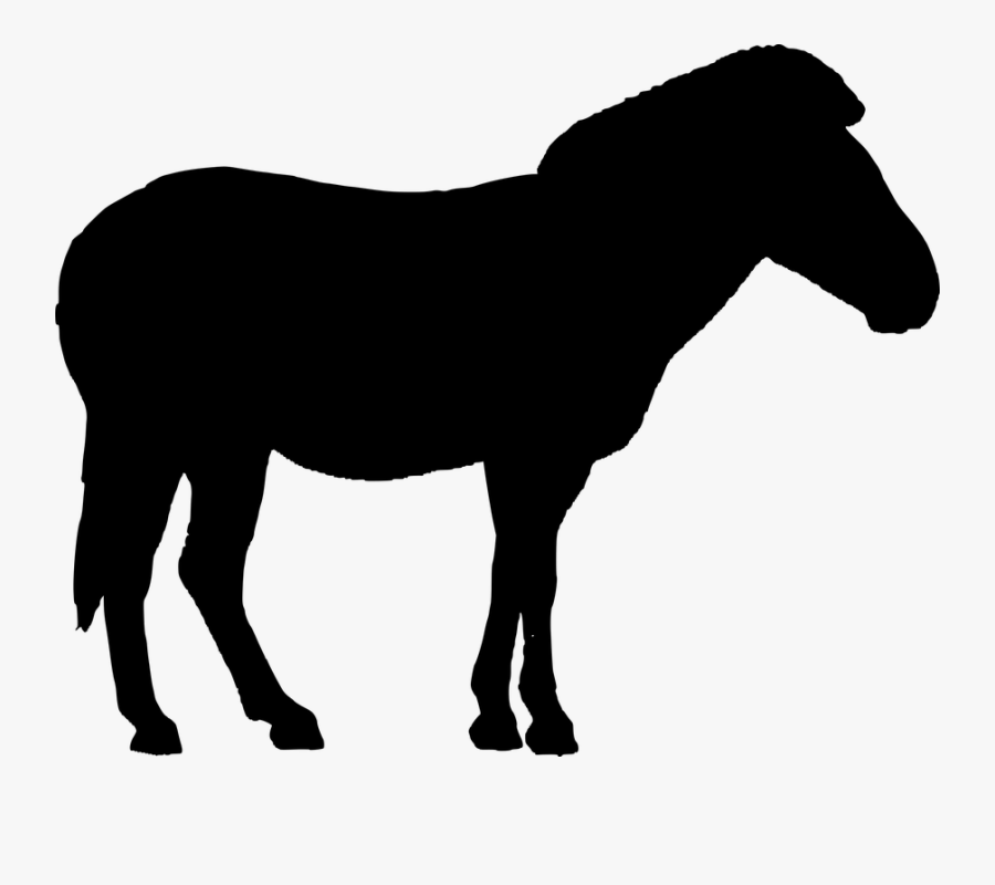 Donkey Clipart Coloured - Farm Animals Silhouette Png, Transparent Clipart