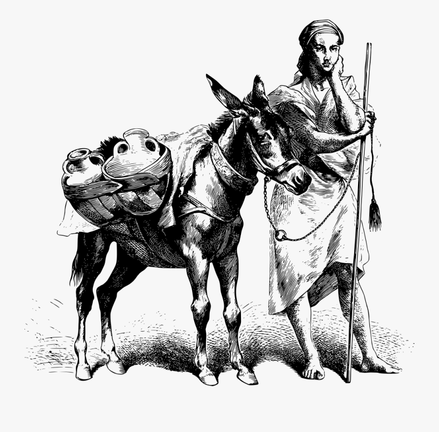 Woman And Donkey - Mula Carga, Transparent Clipart