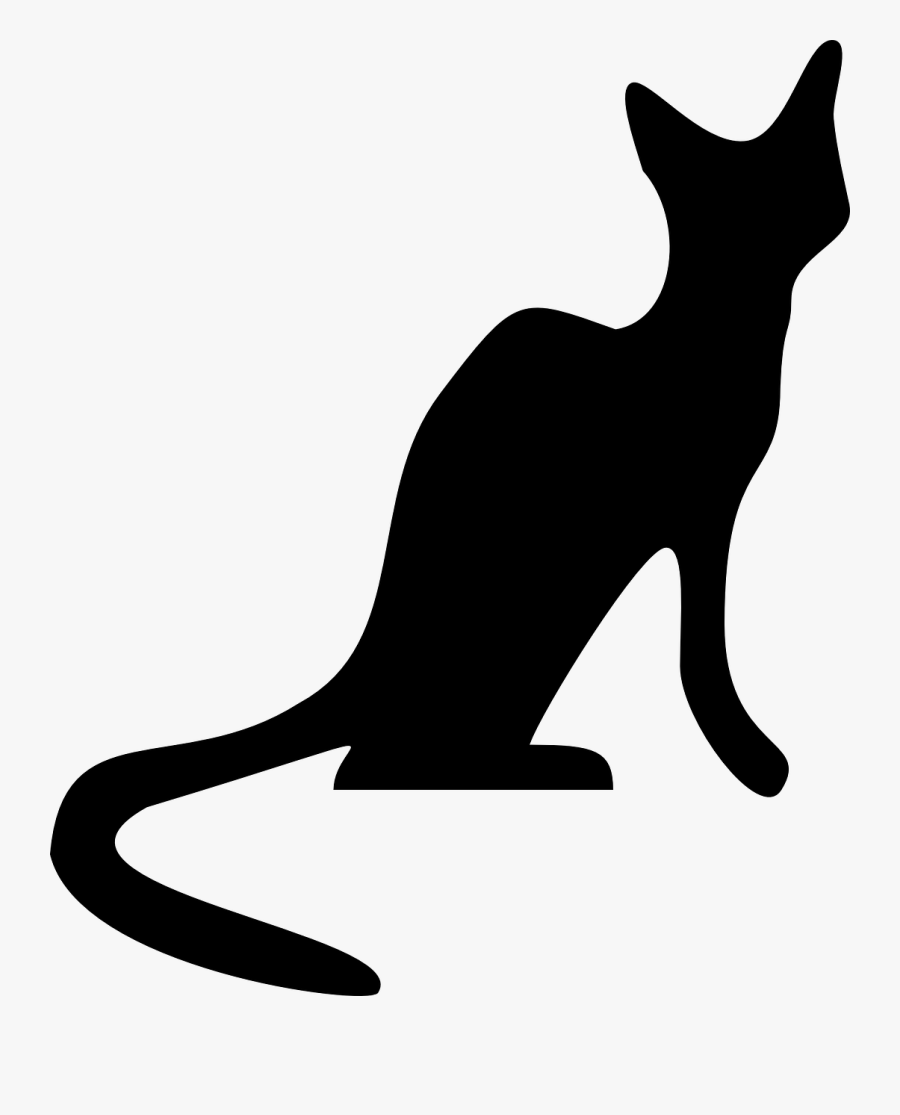 Cat Feline Kitten Free Picture - Sombra De Un Gato, Transparent Clipart