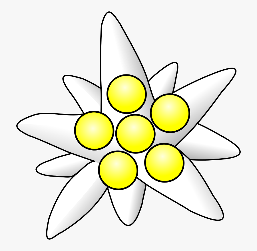 Free Vector Flower Circles Clip Art - Edelweiss Clipart, Transparent Clipart