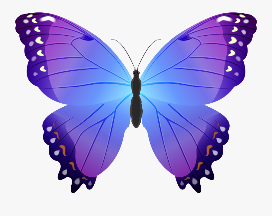 Moths And Character - Purple Butterflies With A Blue Background, Transparent Clipart