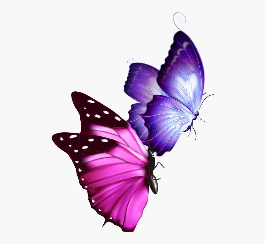 #mq #pink #purple #butterfly #butterflys - Purple Transparent Purple Butterfly, Transparent Clipart