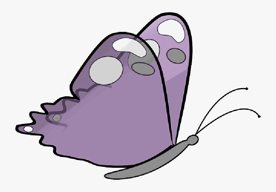 Pattern, Purple, Butterfly, Colors, Wings, Insect - Butterfly Clipart, Transparent Clipart