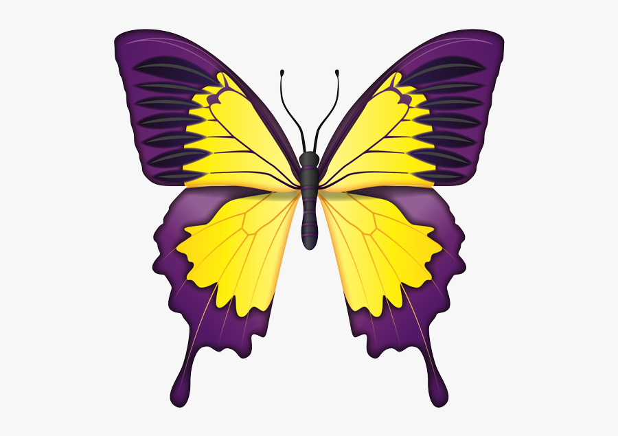 Ulysses Butterfly, Transparent Clipart