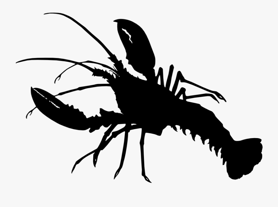 Crayfish As Food Lobster Crab Silhouette - Lets Get Cray Cray, Transparent Clipart