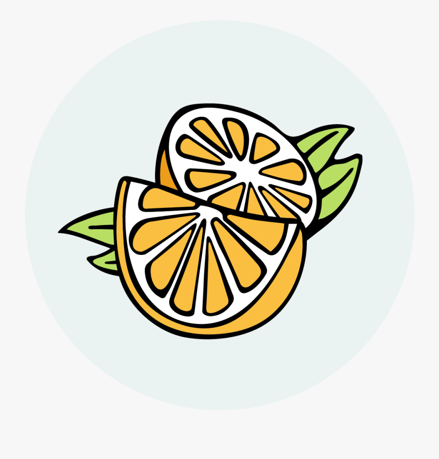 Circle, Transparent Clipart