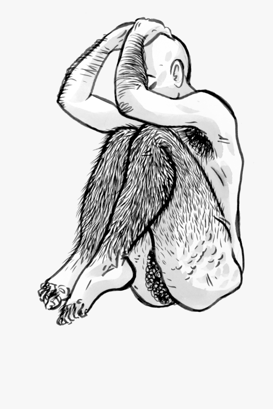 Illustration, Transparent Clipart