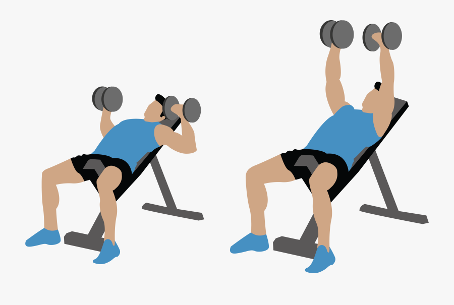 Weight Training, Transparent Clipart