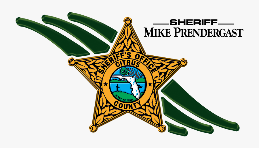 Picture, Transparent Clipart