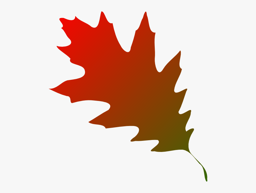 Banner Freeuse Autumn Leaf Clipart - Silhouette Of Oak Leaf, Transparent Clipart