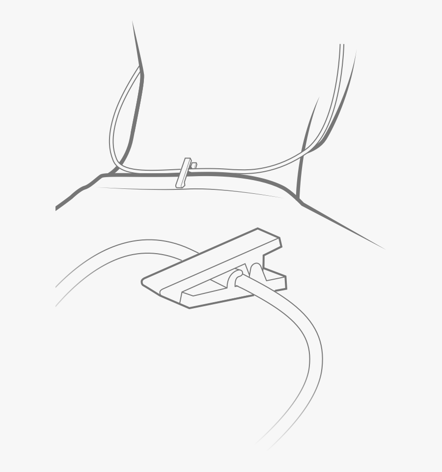 Jaybird Shirt Clip, Transparent Clipart