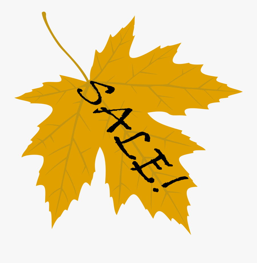 Maple Leaf, Transparent Clipart
