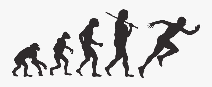 Human Evolution Vector, Transparent Clipart