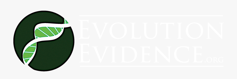 A New Method For Teaching Evolution Evidence, Transparent Clipart