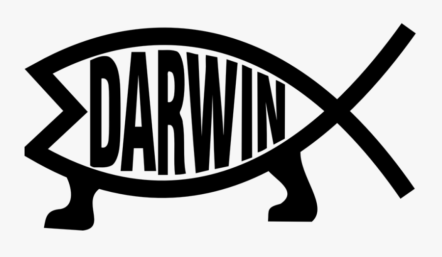 Darwin, Fish, Evolution - Evolution Clipart, Transparent Clipart