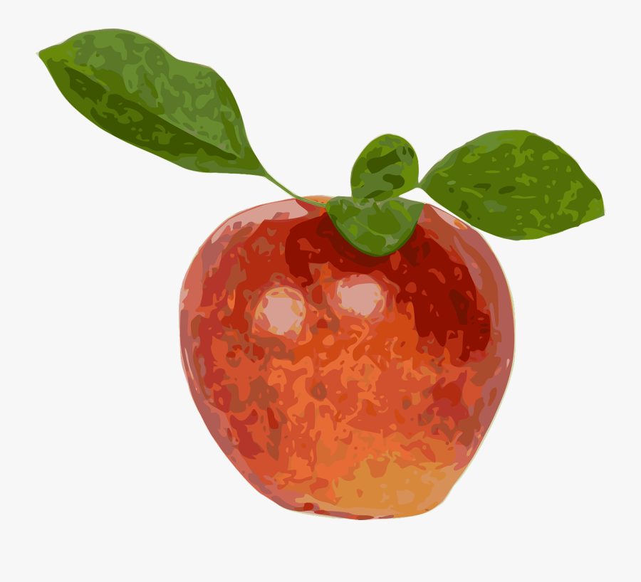 Red Apple Fruit Apple Free Picture - Imajen De Manzanas Transparente, Transparent Clipart