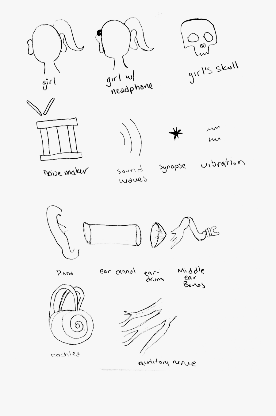 Drawing, Transparent Clipart