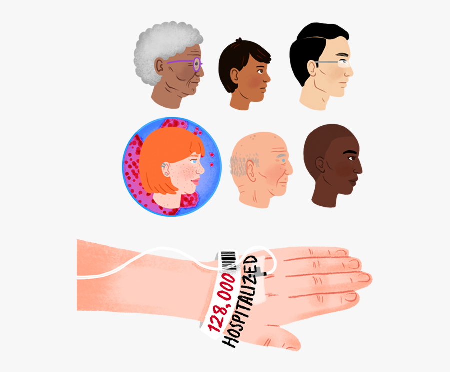 Heads Of People - Cartoon, Transparent Clipart