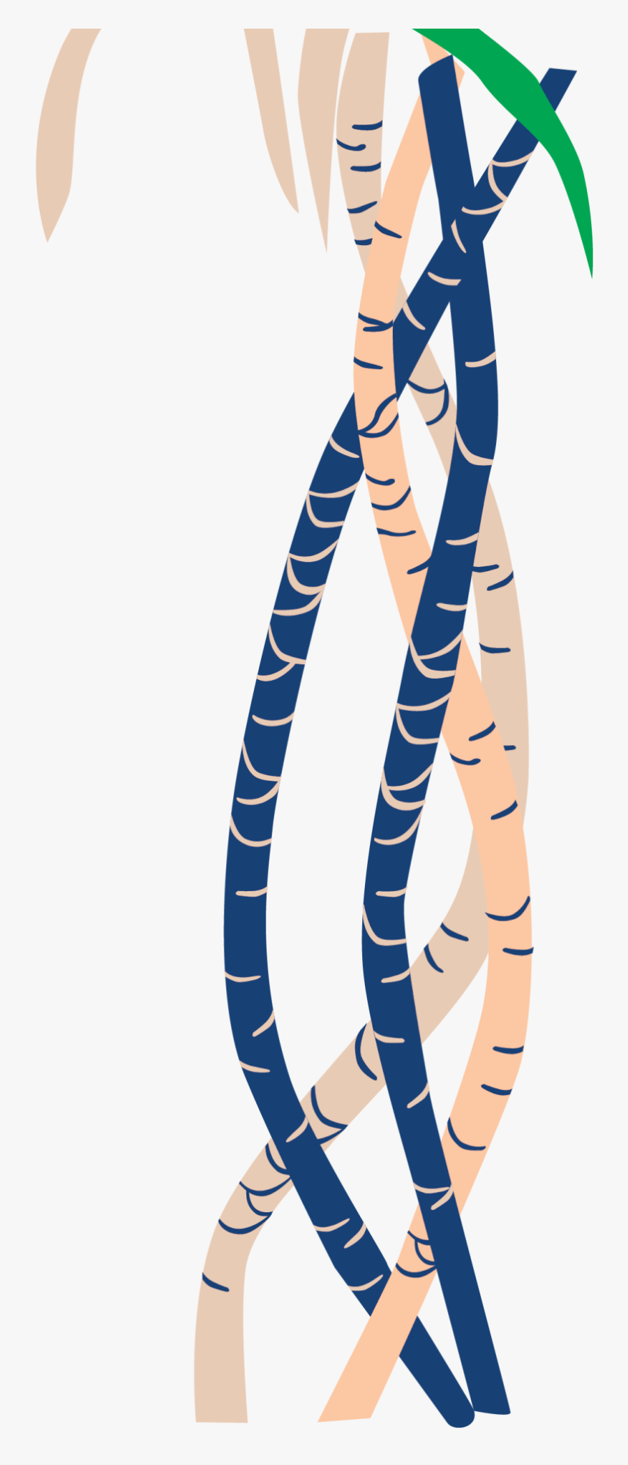 Illustration, Transparent Clipart