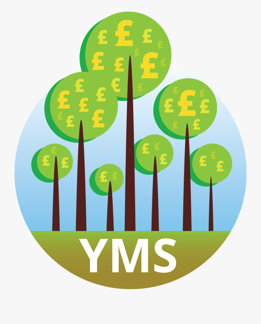 Graphic Design, Transparent Clipart