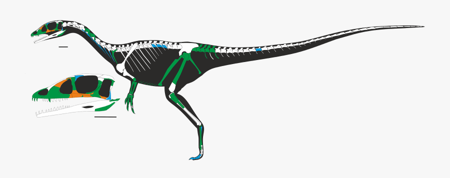 Dracoraptor - Dracoraptor Hanigani, Transparent Clipart