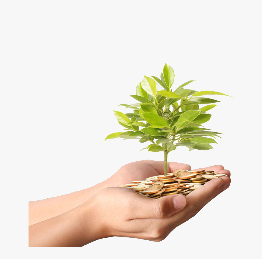 Clip Art Money Stock Photography Coin - Money And Plant In Hand, Transparent Clipart