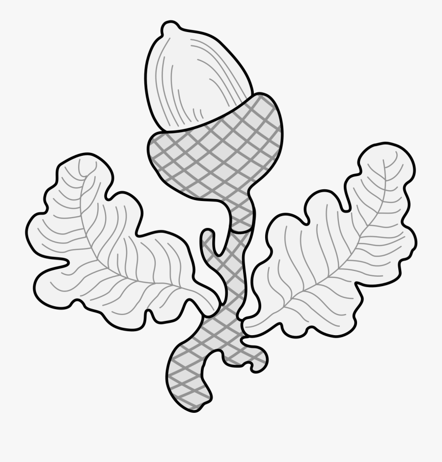 Line Art, Transparent Clipart