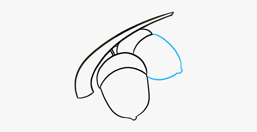 Nuts Drawing Acorn - Sketch, Transparent Clipart