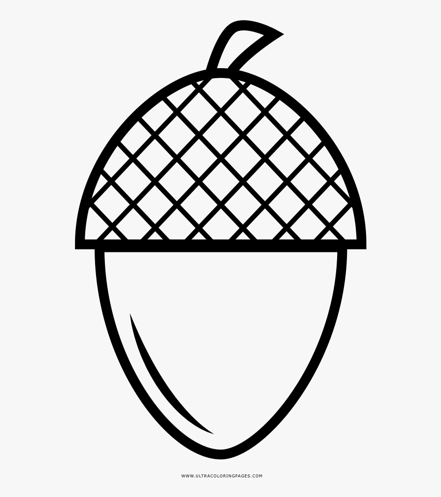 Acorn Coloring Page - Racket, Transparent Clipart